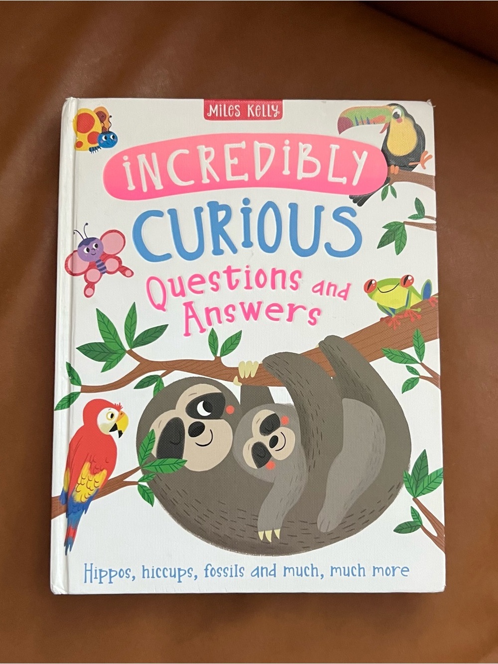 Miles Kelly Incredibly Curious Questions and Answers hardcover children's book